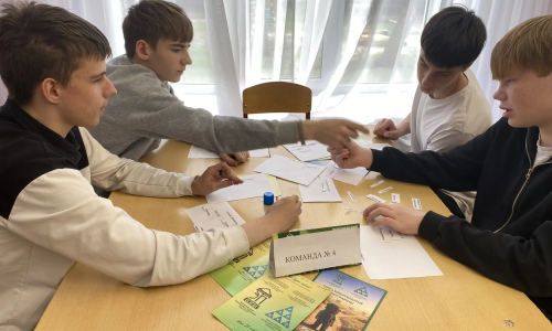 Профориентационная игра